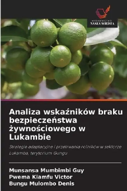 Analiza wskaźników braku bezpieczeństwa żywnościowego w Lukambie by Munsansa Mumbimbi Guy, Pwema Kiamfu Victor, Bungu Mulombo Denis