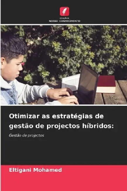 Otimizar as estratégias de gestão de projectos híbridos by Eltigani Mohamed
