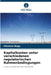 Kapitalkosten unter verschiedenen regulatorischen Rahmenbedingungen by Okszana Begy
