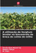 A utilização de Sorghum bicolor no biocontrolo da broca do colmo do milho by Dondo Bena Benoît Sj, Mebelo Mataa, M. Chisi