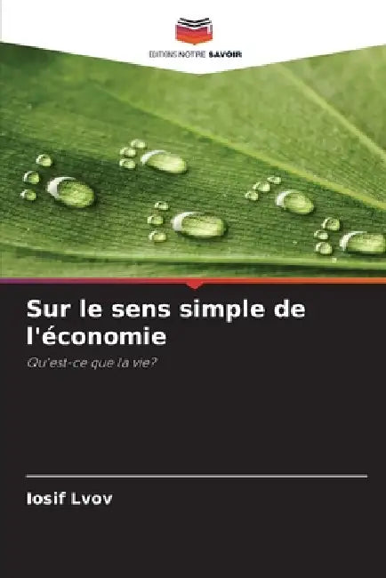 Sur le sens simple de l'économie by Iosif Lvov
