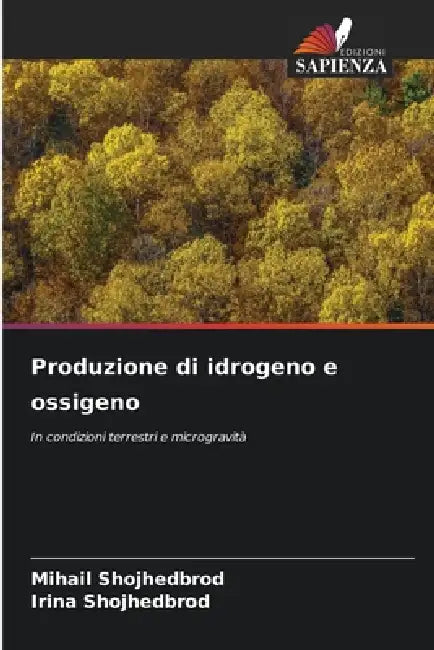 Produzione di idrogeno e ossigeno by Mihail Shojhedbrod, Irina Shojhedbrod