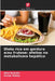 Dieta rica em gordura e/ou frutose: efeitos no metabolismo hepático by Alini Schultz, Victor Motta