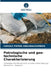 Petrologische und geo-technische Charakterisierung by Carole Pierre Ongobassomben