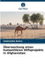 Überwachung eines humanitären Hilfsprojekts in Afghanistan by Shakirullah Akhtar