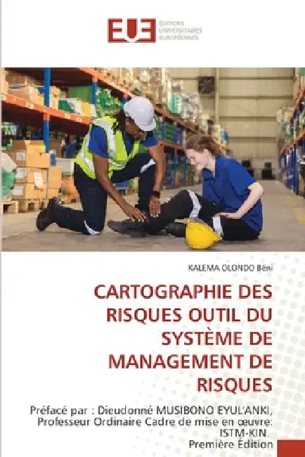 Cartographie Des Risques Outil Du Système de Management de Risques by Kalema Olondo Béni
