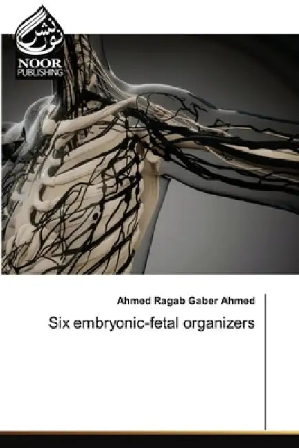Six embryonic-fetal organizers by Ahmed Ragab Gaber Ahmed
