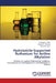 Hydrotalcite-Supported Ruthenium for Aniline Alkylation by Priyanka V. Patat, Komal R. Pritmani, Komal M. Vyas
