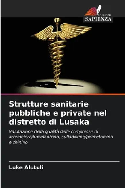 Strutture sanitarie pubbliche e private nel distretto di Lusaka by Luke Alutuli