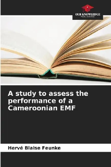 A study to assess the performance of a Cameroonian EMF by Hervé Blaise Feunke