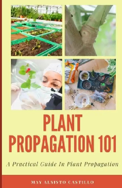 Plant Propagation 101: A Practical Guide In Plant Propagation by May Alsisto Castillo