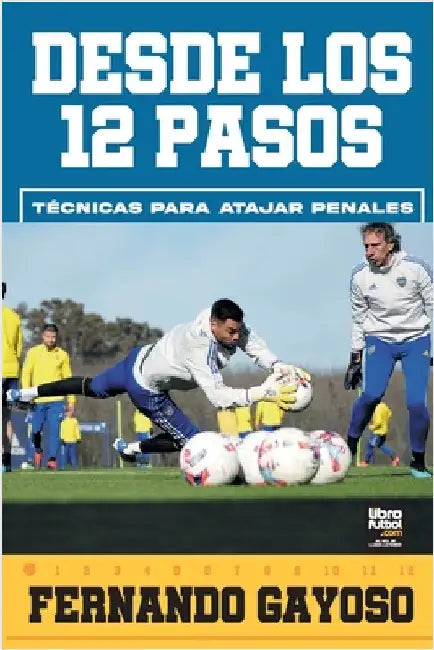 Desde los 12 pasos by Fernando Gayoso