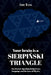 Your Brain Is a Sierpinski Triangle: The Fractal Algorithm by Silva Ivan