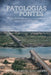 Patologias em Pontes: Como diagnosticar corretamente as patologias em Pontes by Eugenio Ribeiro Nascimento