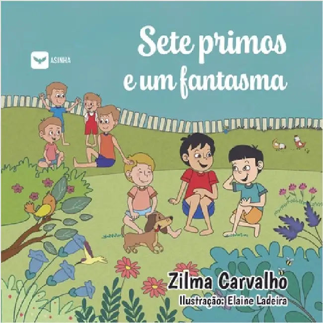 Sete primos e um fantasma by Zilma Carvalho
