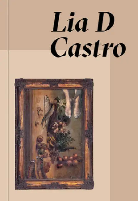 Lia D Castro: Everywhere and Nowhere by Lia D. Castro, Glaucea Helena de Britto, Isabella Rjeille