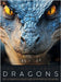 The Truth About Dragons: The Ultimate Illustrated Art Guide for Fantasy Lovers by Ziggy Quinete