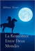 La Rencontre Entre Deux Mondes by Torres, Aldivan
