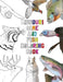 Missouri Game and Fish Coloring Book by Cory Harper