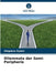 Dilemmata der Semi-Peripherie by Zbigniew Rykiel