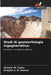 Studi di geomorfologia ingegneristica by Ahmed I. M. Saber, Hewyda A. H. Hassan