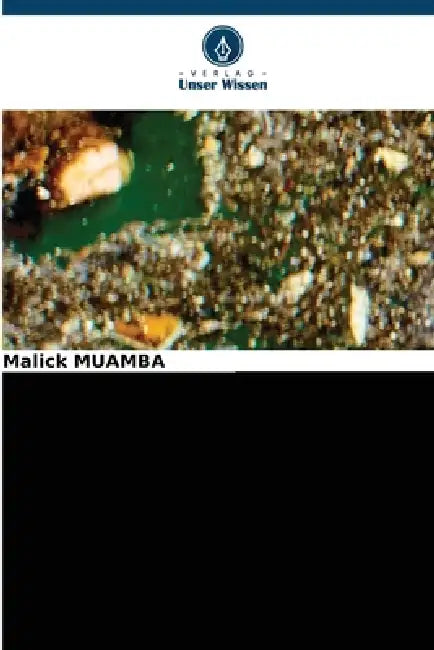 Energetische Verwertung Von Flusskunststoffen by Malick Muamba