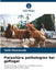 Parasitäre pathologien bei geflügel by Taibi Messaouda