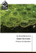 Green Synthesis by Ahmed Naji Al-Jamal