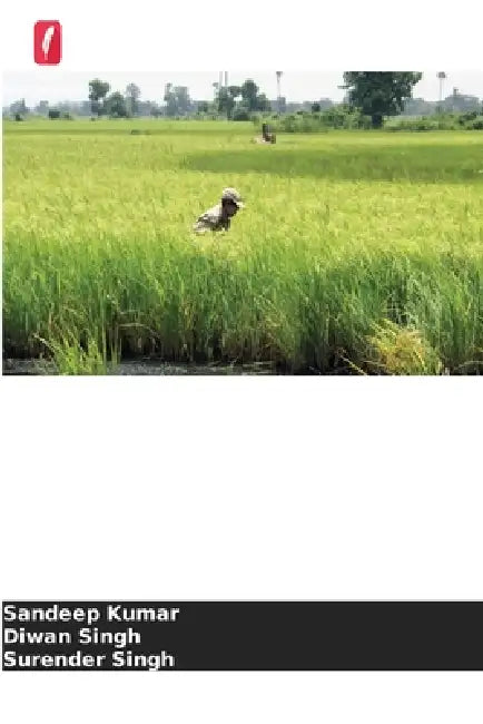 Estratégias de sementeira para o cultivo do arroz by Sandeep Kumar, Diwan Singh, Surender Singh