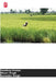 Estratégias de sementeira para o cultivo do arroz by Sandeep Kumar, Diwan Singh, Surender Singh