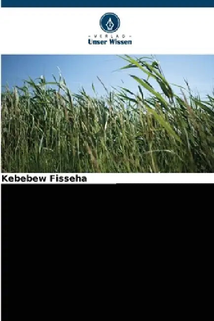 Ernährungsunsicherheit und die relative Bedeutung des Vermögens von Haushalten by Kebebew Fisseha