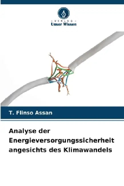 Analyse der Energieversorgungssicherheit angesichts des Klimawandels by T. Flinso Assan