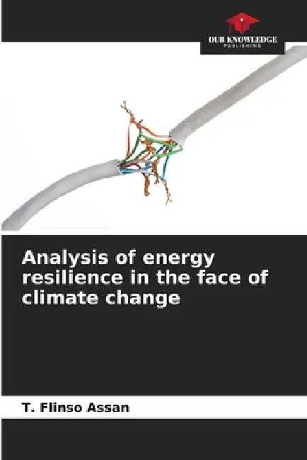 Analysis of energy resilience in the face of climate change by T. Flinso Assan