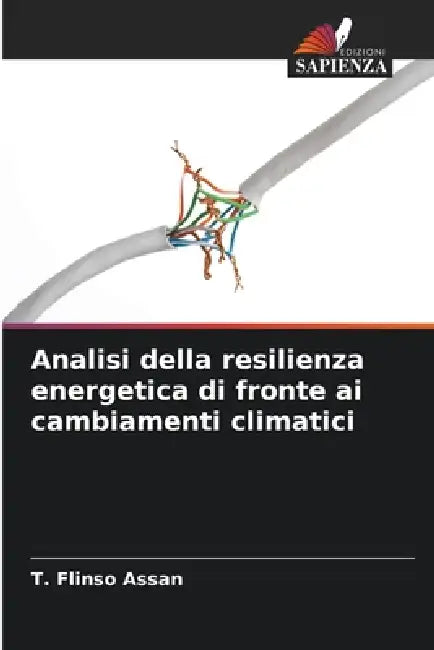 Analisi della resilienza energetica di fronte ai cambiamenti climatici by T. Flinso Assan