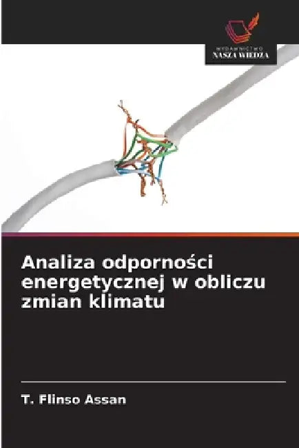 Analiza odporności energetycznej w obliczu zmian klimatu by T. Flinso Assan