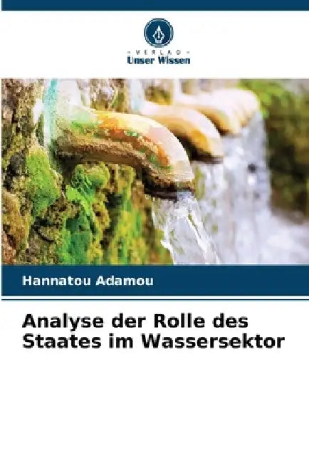 Analyse der Rolle des Staates im Wassersektor by Hannatou Adamou