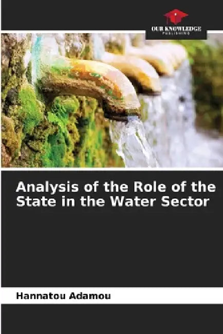 Analysis of the Role of the State in the Water Sector by Hannatou Adamou