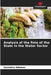 Analysis of the Role of the State in the Water Sector by Hannatou Adamou