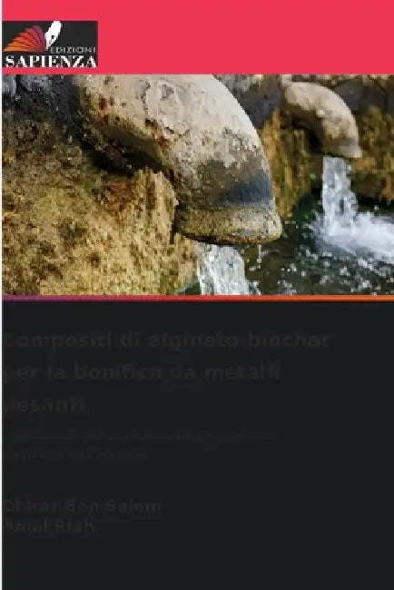 Compositi di alginato-biochar per la bonifica da metalli pesanti by Dhirar Ben Salem, Amel Riah