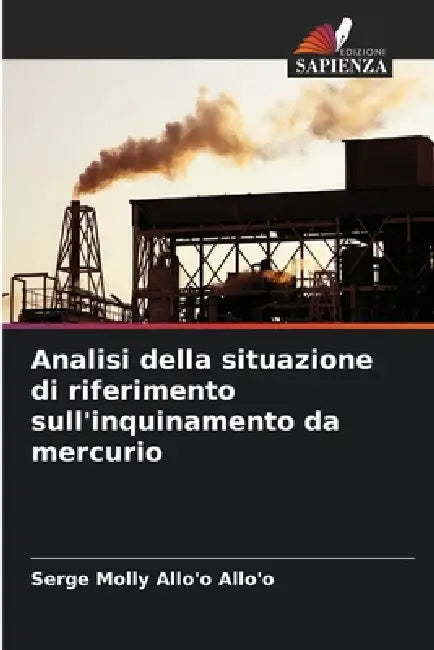 Analisi della situazione di riferimento sull'inquinamento da mercurio by Serge Molly Allo'o Allo'o