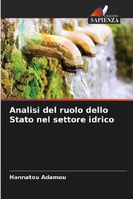 Analisi del ruolo dello Stato nel settore idrico by Hannatou Adamou