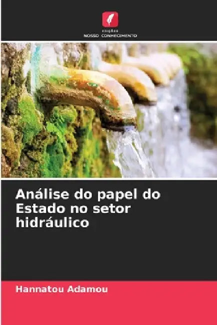 Análise do papel do Estado no setor hidráulico by Hannatou Adamou