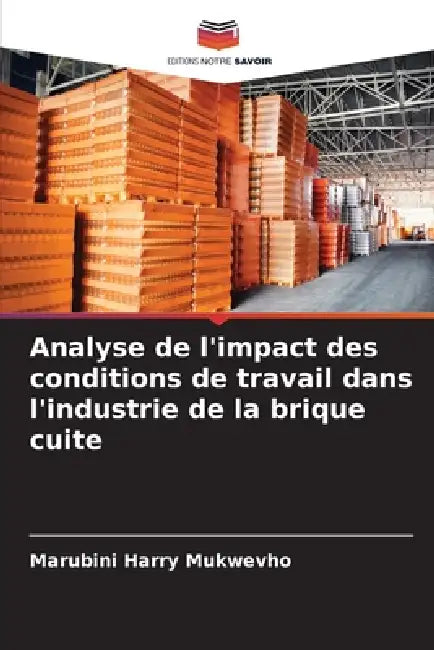 Analyse de l'impact des conditions de travail dans l'industrie de la brique cuite by Marubini Harry Mukwevho