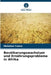 Bevölkerungswachstum und Ernährungsprobleme in Afrika by Metahan Traore