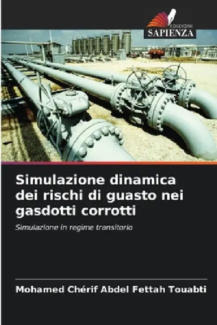 Simulazione dinamica dei rischi di guasto nei gasdotti corrotti by Mohamed Chérif Abdel Fettah Touabti