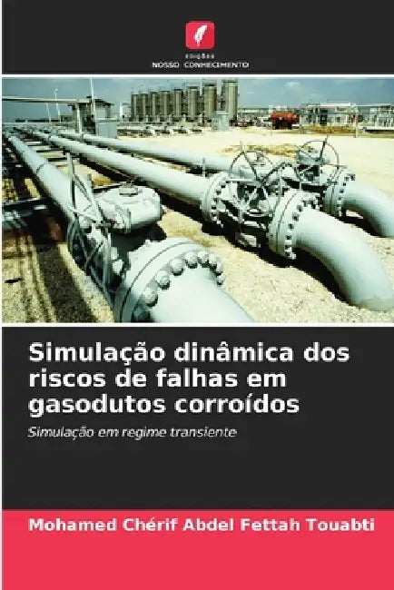 Simulação dinâmica dos riscos de falhas em gasodutos corroídos by Mohamed Chérif Abdel Fettah Touabti