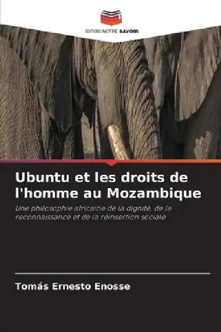 Ubuntu et les droits de l'homme au Mozambique by Tomás Ernesto Enosse