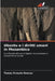 Ubuntu e i diritti umani in Mozambico by Tomás Ernesto Enosse