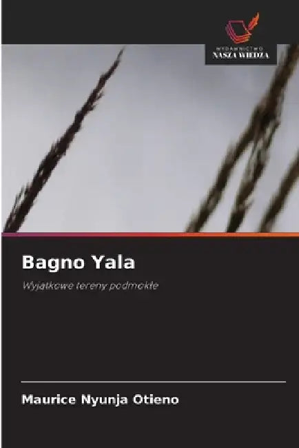 Bagno Yala by Maurice Nyunja Otieno