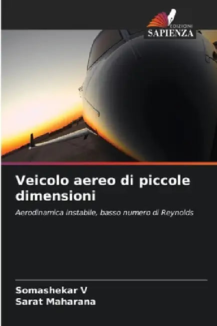 Veicolo aereo di piccole dimensioni by Somashekar V, Sarat Maharana